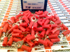 Connector/Terminal/Pin - 23901042 - Radwell International
