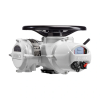 Electric Intelligent Actuators, IQ3D Pro - Direct Current (DC) - Image