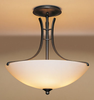 Semi-Flush Mts.-Bowl Style - 224974 - Light Center (The)