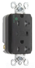 Surge Suppression Receptacle - TR8300-SP - Thomas & Betts Corporation