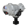 Electric Intelligent Actuators, IQT3F Pro - Full-Turn - Image