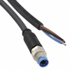 Cable Assemblies - Circular Cable Assemblies -- 1-2273002-1 - Image