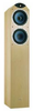 Floor Standing Cabinet Design Speaker - Eyris DC3 - Visual Sound, Inc.