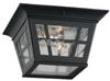 Two-Light Outdoor Ceiling Light Fixture - 78131-12 - bulbs.com