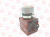 Pilot Light - 12272013 - Radwell International