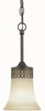 40139 Mini Pendants-Chain - 486253 - Capital Lighting, Inc.