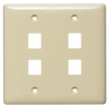 Datacommunication Face Plate -- NSP24I - Image