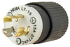 Locking Device Plug -- 4770NP - Image