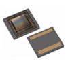 Sensors, Transducers - Optical Sensors - Image Sensors, Camera - NOIL2SC1300A-GDC - Shenzhen Shengyu Electronics Technology Limited