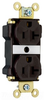 Duplex/Single Receptacle -- PT5362-A - Image