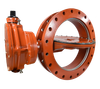 Butterfly Valves -- Seat-On-Disc Butterfly Valve (AIS/BABA) - Image