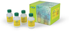 ProteOn Immobilization Buffer Kit - 176-2110 - Bio-Rad Laboratories, Inc.