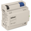Industrial, DIN Rail Power Supplies - 2946-787-1021-ND - DigiKey