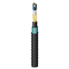 Indoor/Outdoor Riser Heavy Duty Loose Tube OM2 6 Fibers - FD2H0065F - Belden Inc.