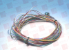 QD Cable/Cord Set - 3516688 - Radwell International