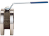 Stainless Steel Flanged ANSI 300 Wafer Ball Valve -- 720741-3