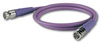 Canare RG59 BNC-BNC 3' Purple - CANVAC003FPUR - HAVE, Inc.