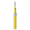 Indoor Riser OS2 Distribution 12 Fibers Aluminum Interlocked - FISD012F9 - Belden Inc.