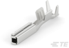Automotive Terminals - 1924880-1 - TE Connectivity