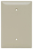 Standard Wall Plate -- SPO13-I - Image