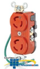 Leviton 15 Amp, 125 Volt, Duplex Receptacle with Isolated.. -- 4700-IG - Image