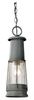 Pendant Light Fixture - OL8111STC - Generation Brands