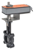 Butterfly Valve -- F650HD+AFBUP-S-X1 - Image