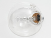 60 Watt, 120 Volt G25 Clear Long Life Globe Bulb - 168962 - bulbs.com