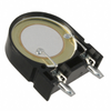 Audio Products - Alarms, Buzzers, and Sirens - PS2220P02 - Acme Chip Technology Co., Limited