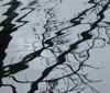 Clear Flute Glass - 100Flute - Spectrum Glass Company, Inc.