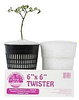 TWISTER / 6