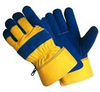 Gloves -- S234-UNTAG - Image