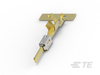 Automotive Terminals - 1-968946-2 - TE Connectivity