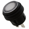 Pushbutton Switches - CW235-ND - DigiKey