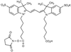 Cyanine 3 Monofunctional Bihexanoic Acid Dye, Monosuccinim.. - 8619 - Medical Isotopes, Inc.