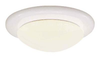 Flush Mounts-Bowl Style - 286120 - Light Center (The)