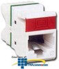 Siemon MAX 6 Flat Module - Cat 6 - MX6-F02 - TelephoneStuff.com