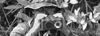 Mark VII Handheld Eyesafe Laser Rangefinder - Image