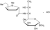 Lincomycin HCl - 11372 - Medical Isotopes, Inc.