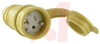 Electrical Connector; 20 A; 125 V; BackWire; Straight; Yellow; PVC; Nylon - 70116152 - Allied Electronics, Inc.