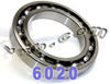 6020 Open Bearing 100x150x24 Large - Kit8718 - NationSkander California Corporation