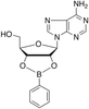 Adenosine-2’,3’-O-phenylboronate - 19364 - Medical Isotopes, Inc.