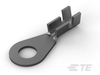 Ring Terminals - 160101-2 - TE Connectivity