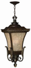 Exterior -Hanging - 232085 - Light Center (The)