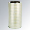 Cellulex Cartridge Filter