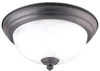 Flush Mounts-Bowl Style - 318094 - Light Center (The)