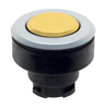 E.V program - EDT.V - Push button - EDT.V - Pushbutton - EDTRGBV -  - Schmersal Inc.
