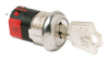 Key Switches - 8636988 - RS Components, Ltd.