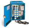 PurgeX Infrared Sensing Lubrication System with 11 Air-Operated PurgeX Pumps, Nema 12 Enclosure, 100-240VAC 50/60Hz - B3651-111 - Oil-Rite Corp.