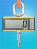 Digital Crane Scale -- EIL-RON3050 - Image
